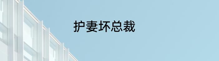 护妻坏总裁