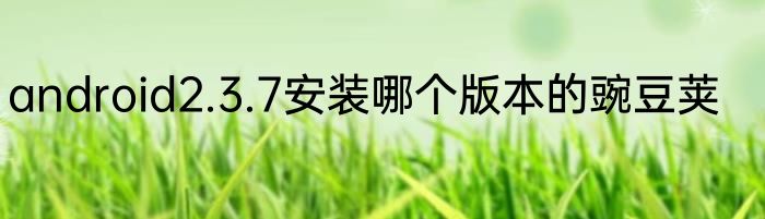 android2.3.7安装哪个版本的豌豆荚