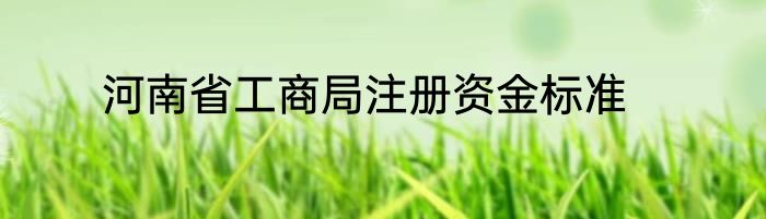 河南省工商局注册资金标准