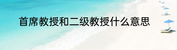 首席教授和二级教授什么意思