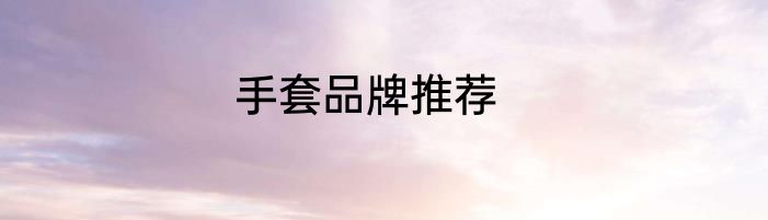 手套品牌推荐