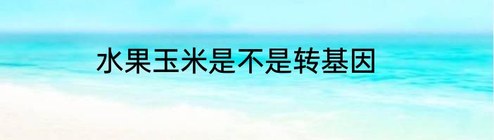水果玉米是不是转基因