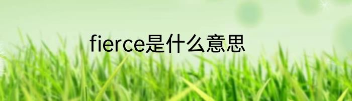 fierce是什么意思