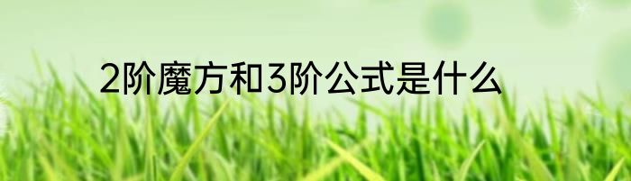2阶魔方和3阶公式是什么