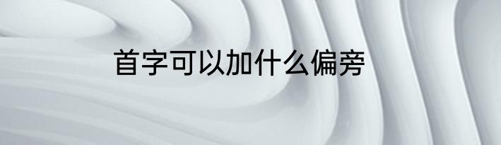 首字可以加什么偏旁