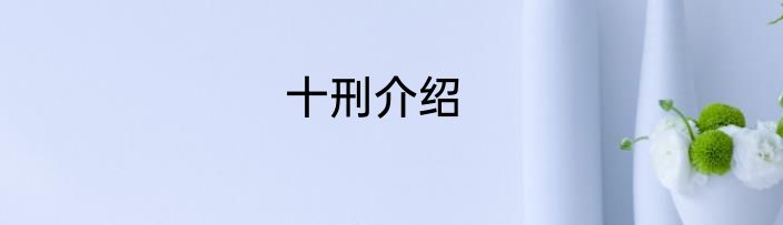 十刑介绍