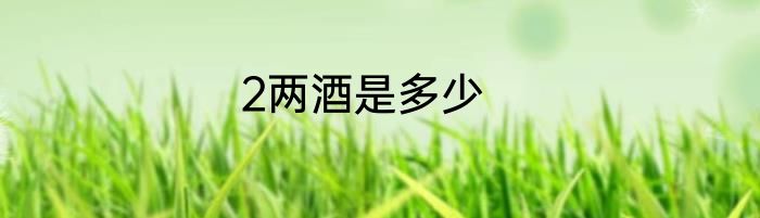 2两酒是多少