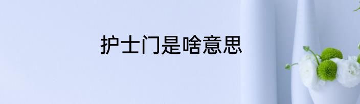 护士门是啥意思
