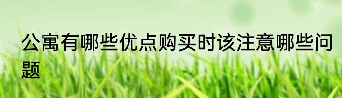 公寓有哪些优点购买时该注意哪些问题