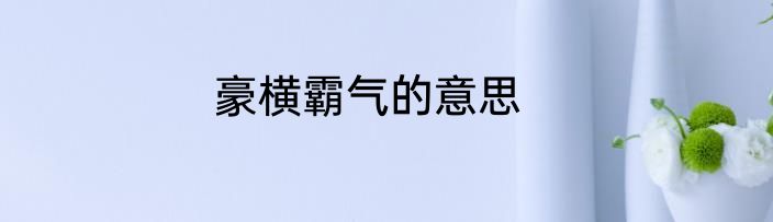 豪横霸气的意思