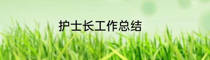 护士长工作总结