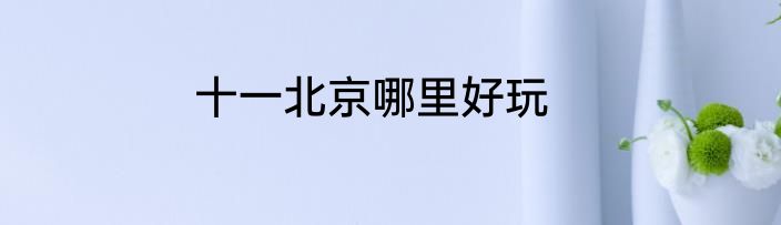 十一北京哪里好玩