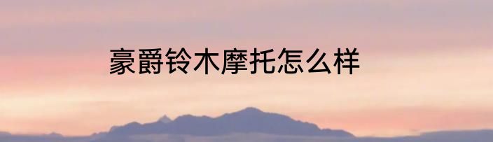 豪爵铃木摩托怎么样