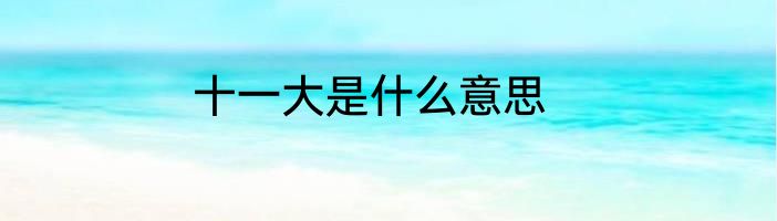 十一大是什么意思