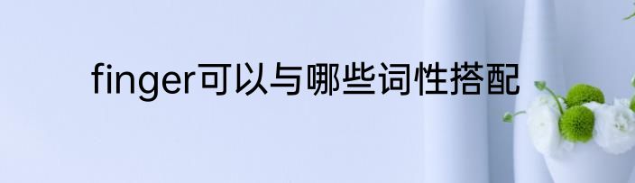 finger可以与哪些词性搭配