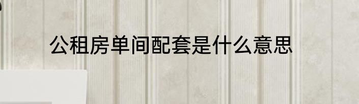 公租房单间配套是什么意思