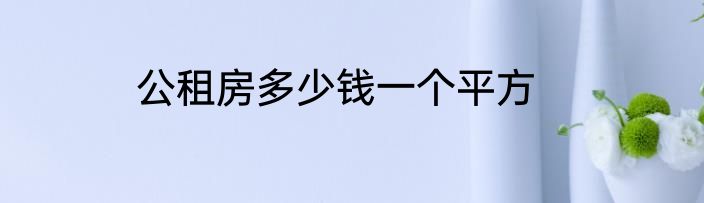 公租房多少钱一个平方