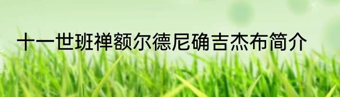 十一世班禅额尔德尼确吉杰布简介