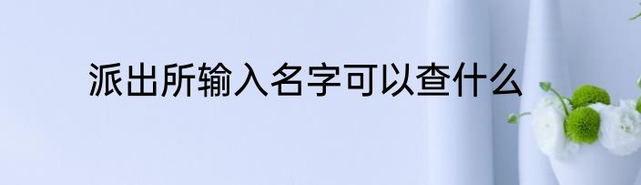 派出所输入名字可以查什么