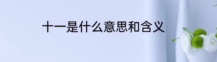 十一是什么意思和含义