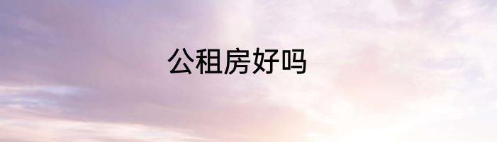 公租房好吗