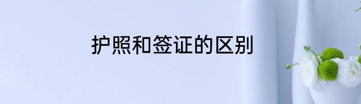 护照和签证的区别