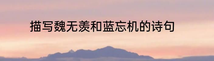 描写魏无羡和蓝忘机的诗句