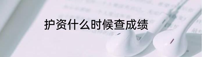 护资什么时候查成绩