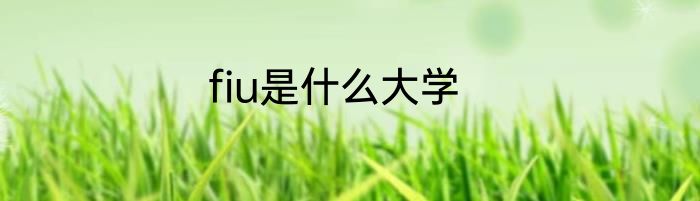 fiu是什么大学