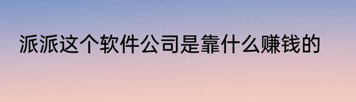 派派这个软件公司是靠什么赚钱的
