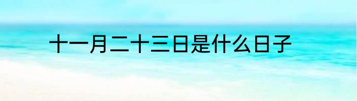 十一月二十三日是什么日子