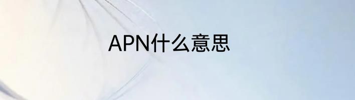 APN什么意思