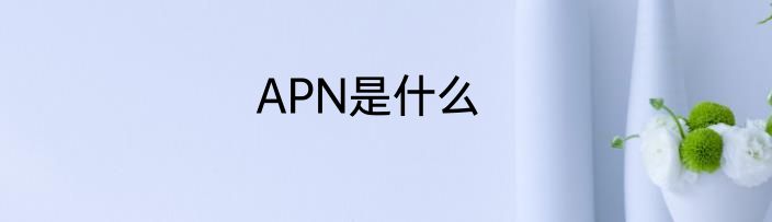 APN是什么