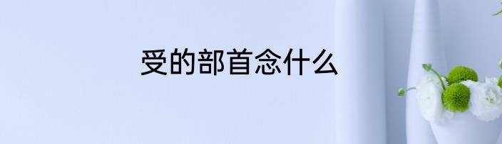 受的部首念什么