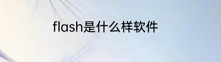 flash是什么样软件