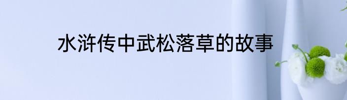 水浒传中武松落草的故事