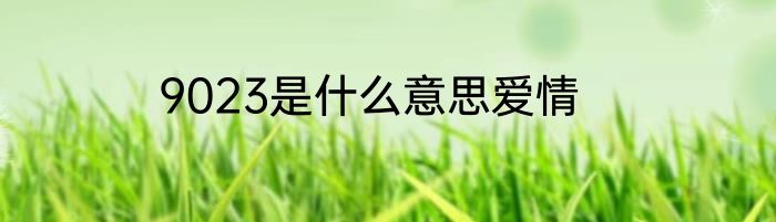 9023是什么意思爱情