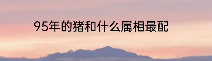 95年的猪和什么属相最配