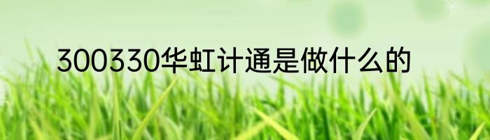 300330华虹计通是做什么的