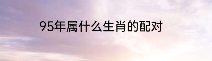 95年属什么生肖的配对