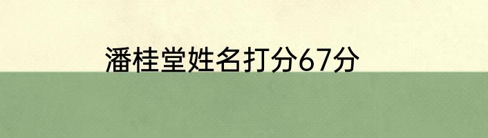 潘桂堂姓名打分67分