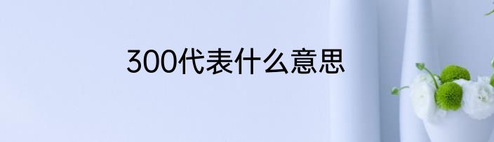 300代表什么意思