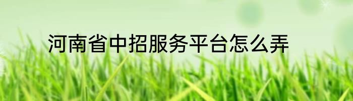河南省中招服务平台怎么弄