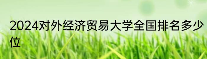 2024对外经济贸易大学全国排名多少位