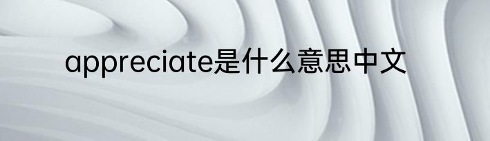 appreciate是什么意思中文