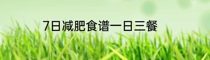 7日减肥食谱一日三餐