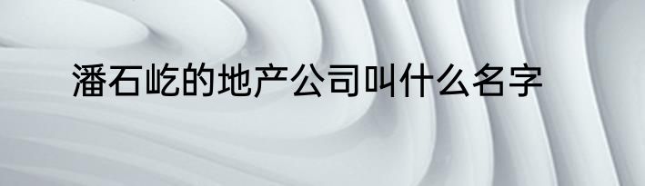 潘石屹的地产公司叫什么名字
