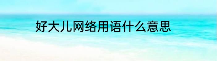 好大儿网络用语什么意思