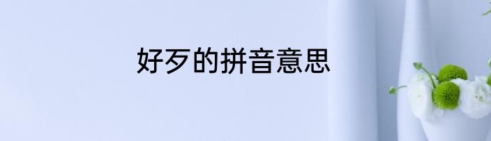 好歹的拼音意思