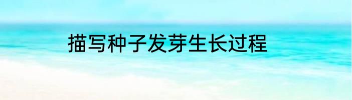 描写种子发芽生长过程